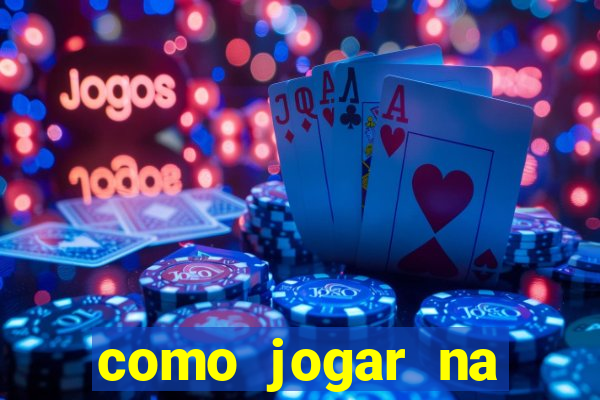 como jogar na lotinha do jogo do bicho